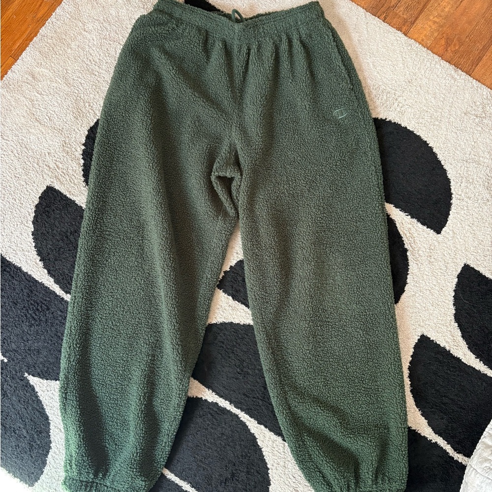 Unisex size M Champion x Urban Outfitters teddy fleece sweatpants — Green